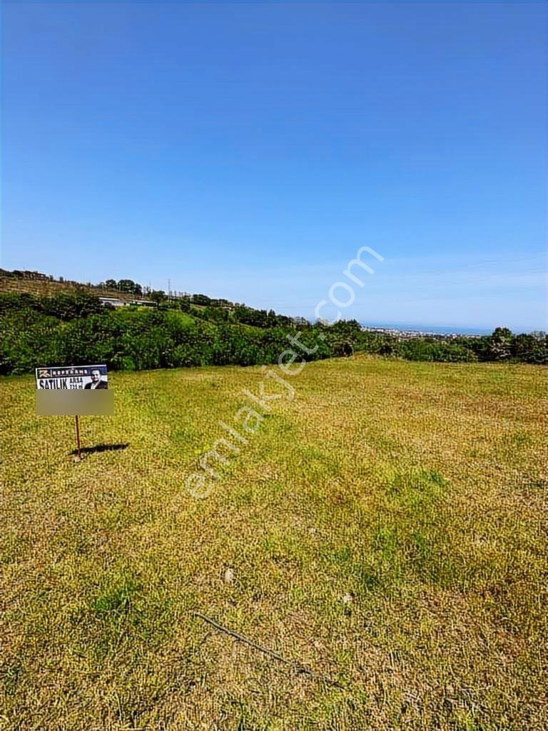 Acil Samsun Sinop Yoluna 500 Metre Deniz Manzaralı Villalık Arsa