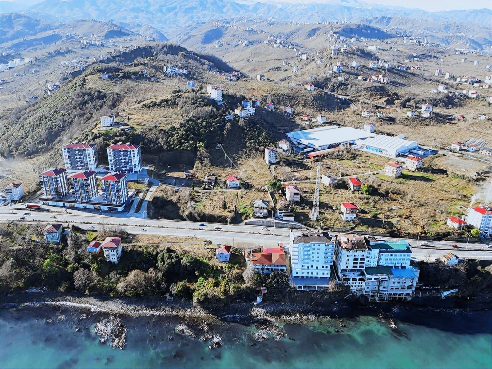 Trabzon Arsin Anayol Üzeri Ticari Ve Konut İmarlı Satılık Arsa - Görsel 13