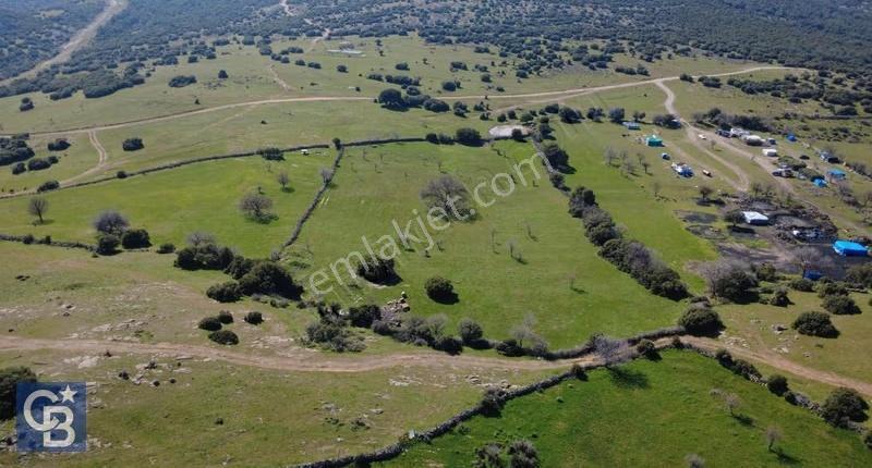 Bergama Örlemiş'de Satılık 13.072 M2 Tarla - Görsel 16