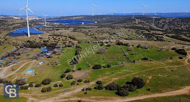 Bergama Örlemiş'de Satılık 13.072 M2 Tarla - Görsel 14