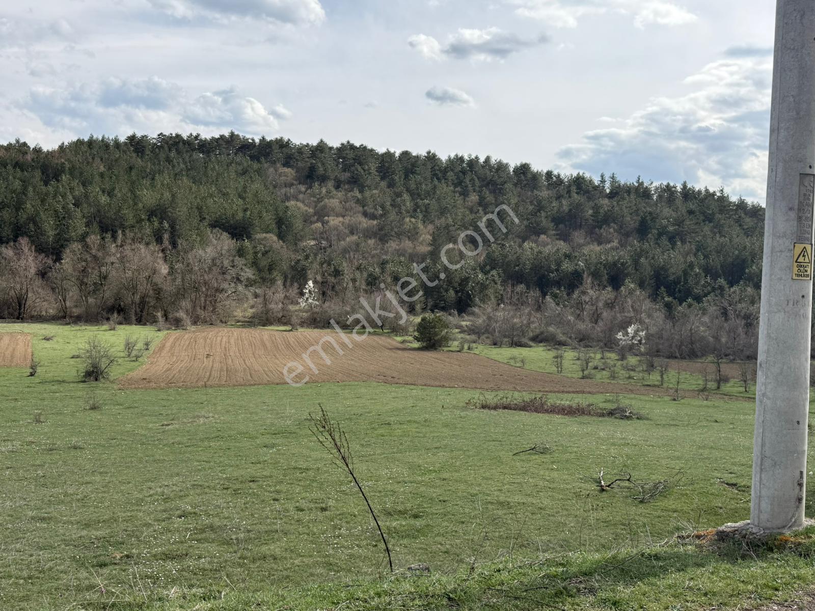 Mengen'in En Yeni Mahallesi Sazlar'da Satılık Tarla - Görsel 27