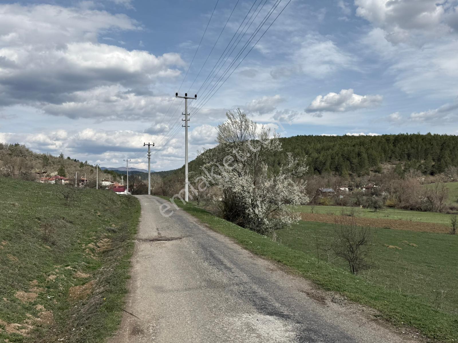Mengen'in En Yeni Mahallesi Sazlar'da Satılık Tarla - Görsel 10