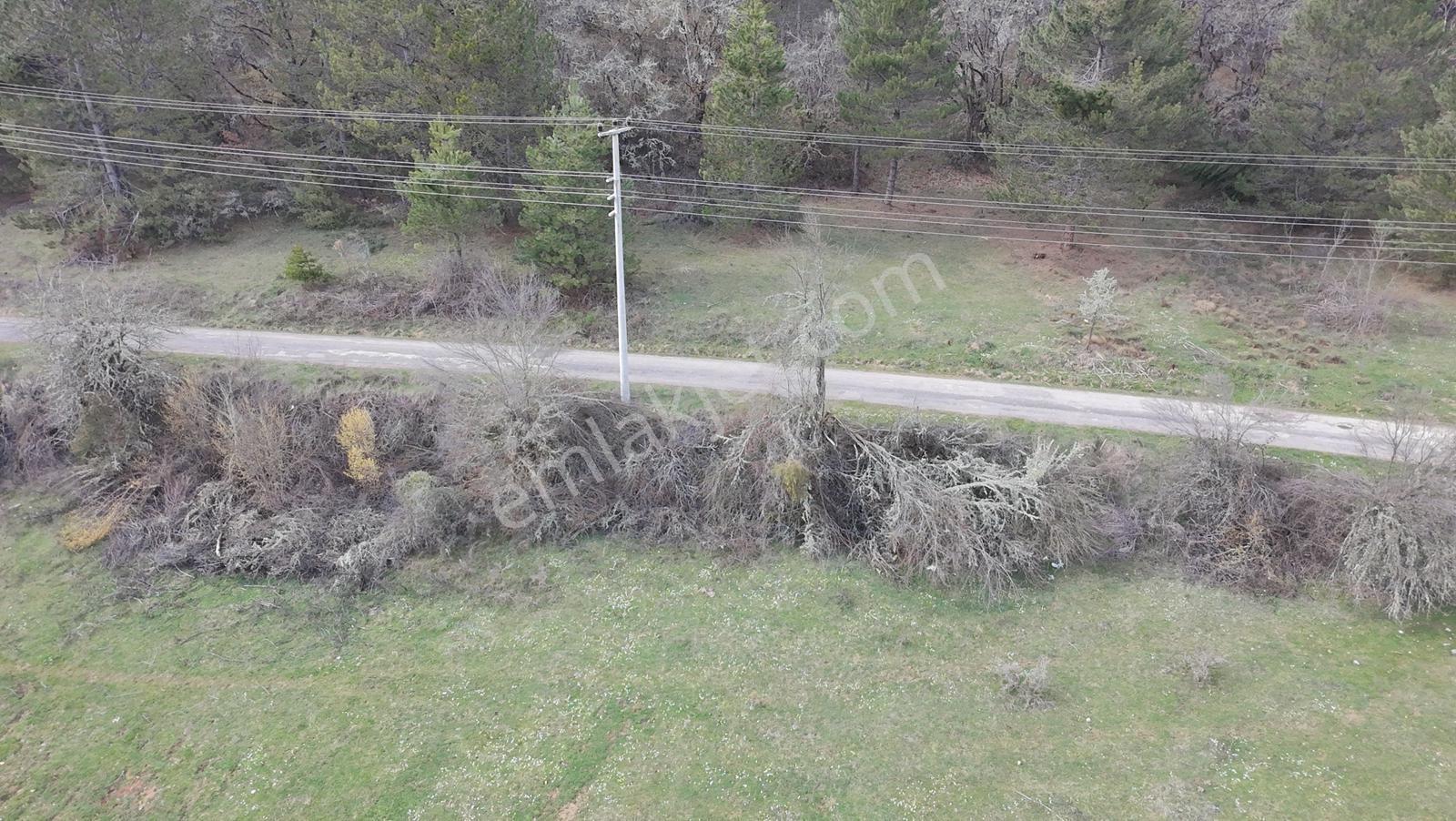 Mengen'in En Yeni Mahallesi Sazlar'da Satılık Tarla - Görsel 28