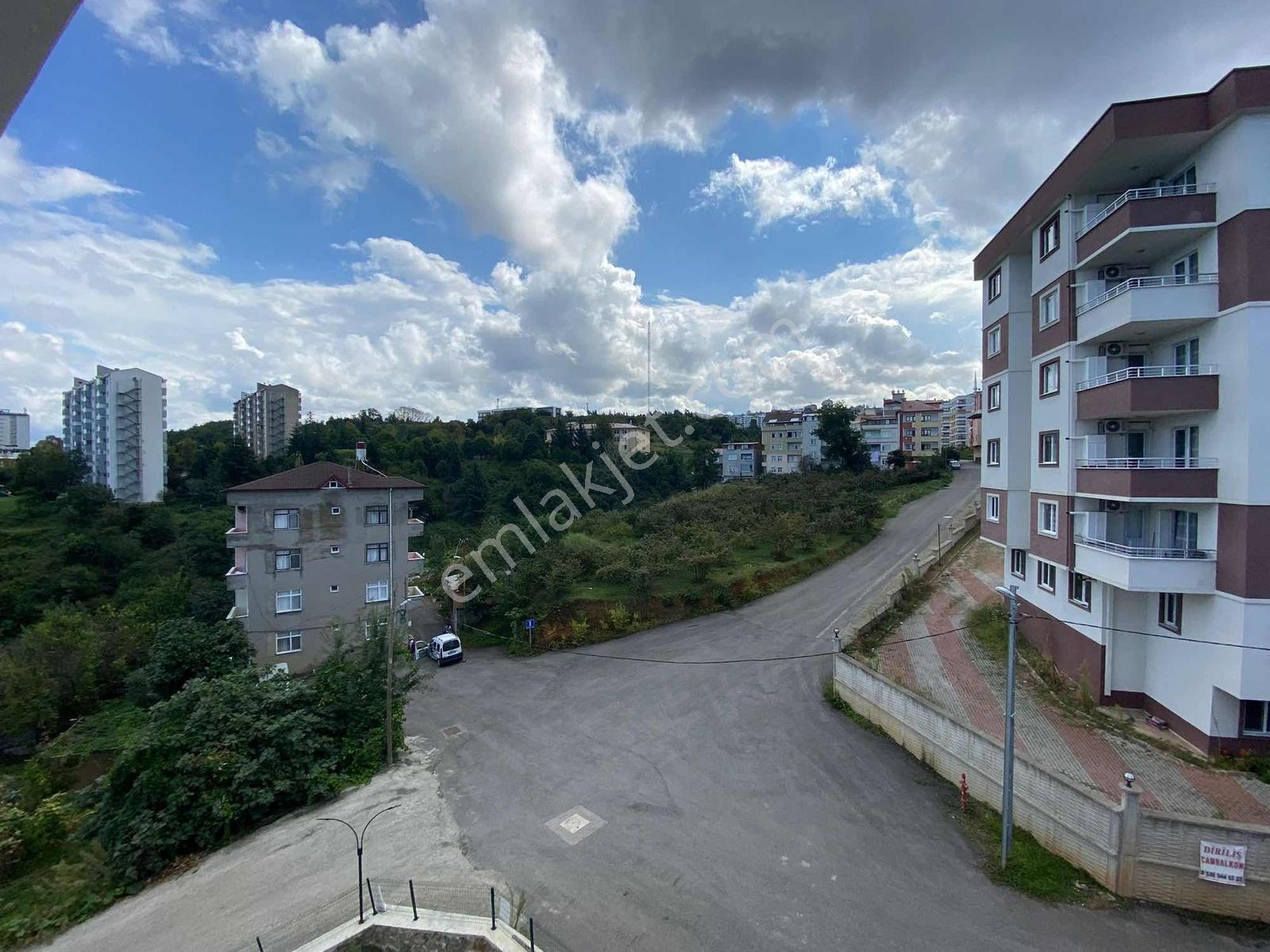 Üniversite Mahallesinde Eşyalı Kiralık 1+1 Daire - Görsel 11