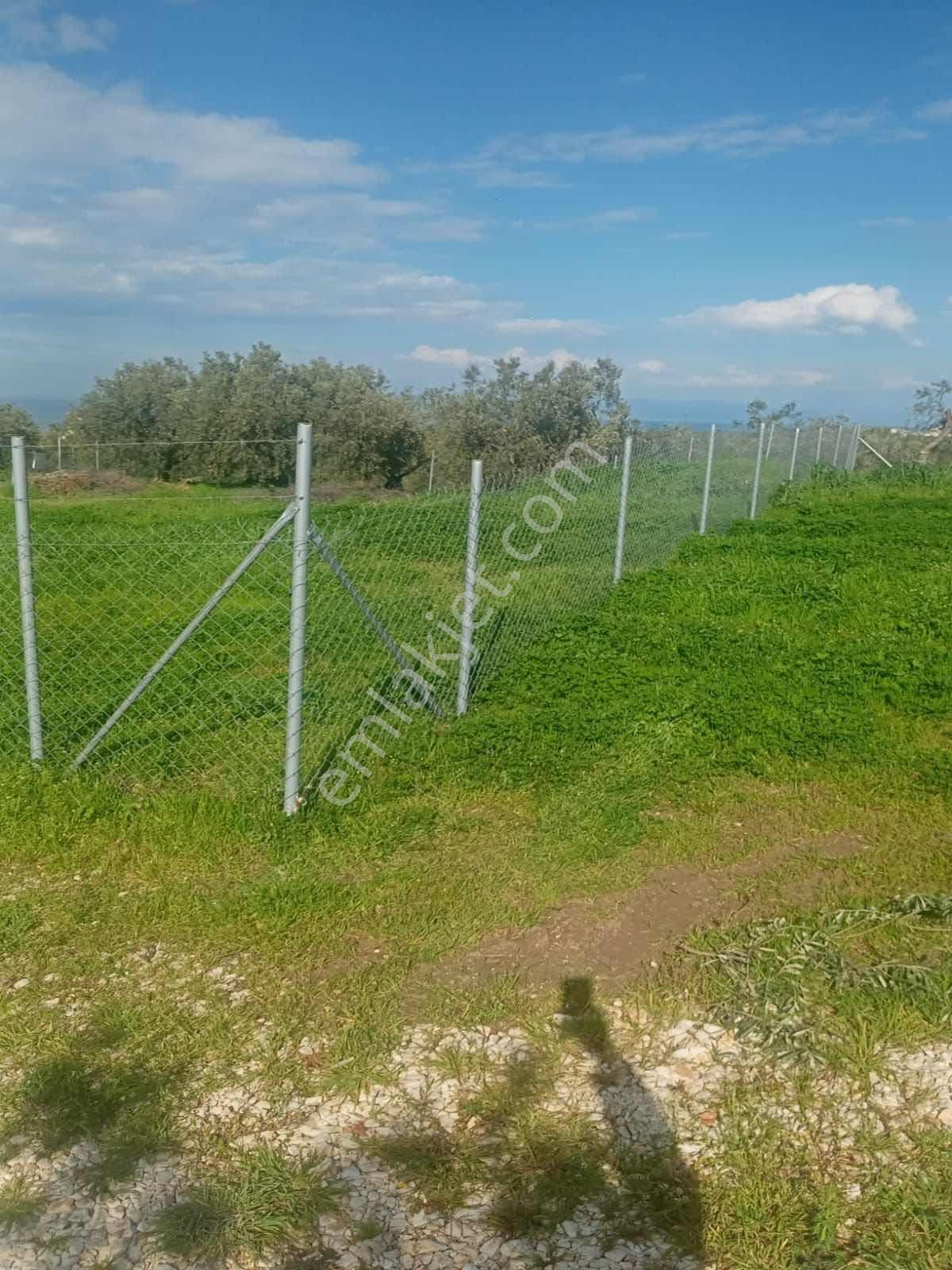 Bursa Mudanya Mesudiye (ayvalıdere Mevkii) Yatırımlık 2.072 M2 - Görsel 6
