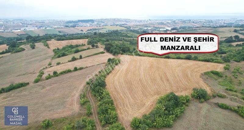 Yalova Kazımiye Deniz Manzaralı 7228 M² Satılık İmarlı Arsa - Görsel 9
