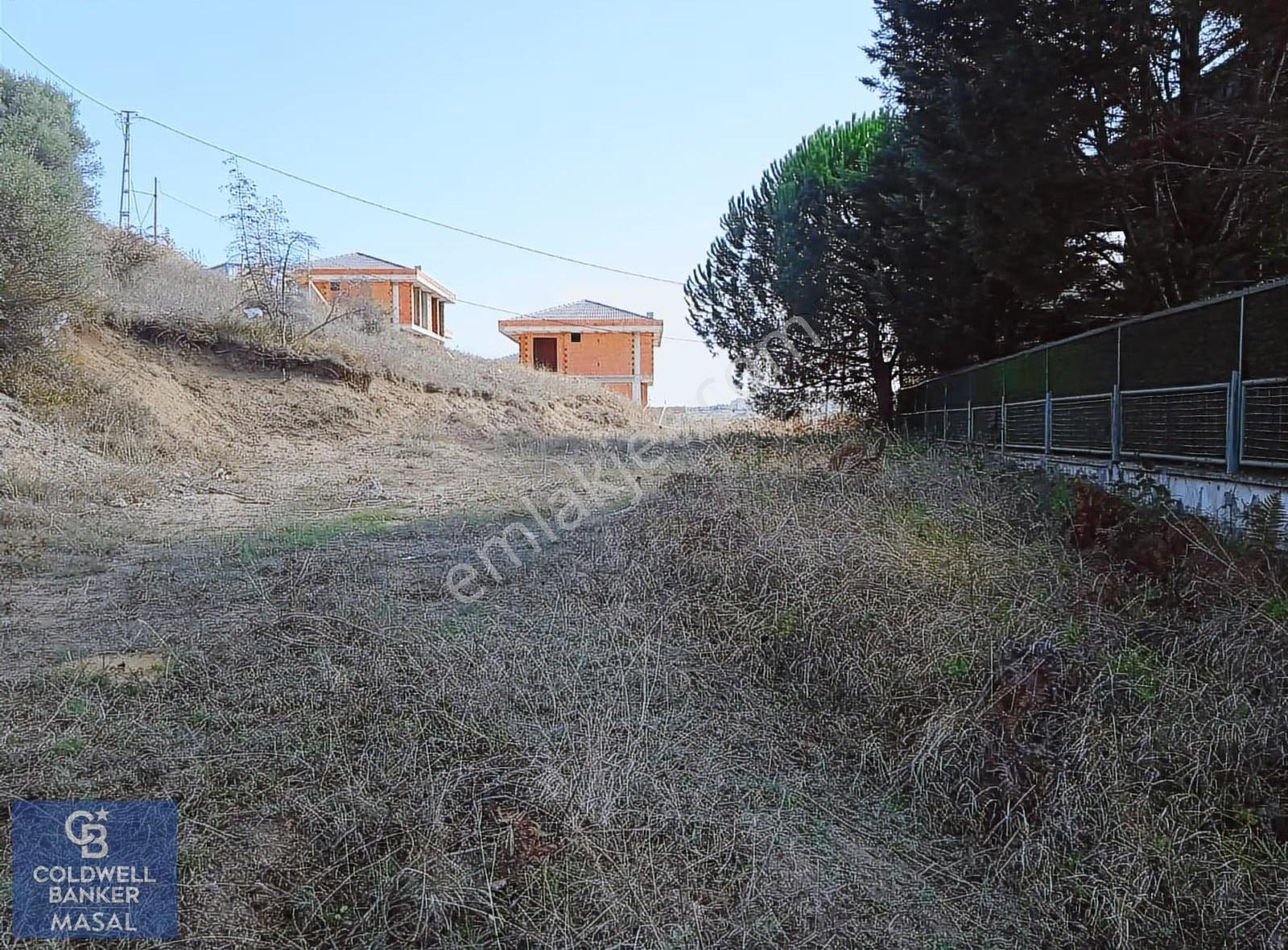 Şile Balibey'de 600 M² Terki Olmayan Villa İmarlı Arsa - Görsel 13