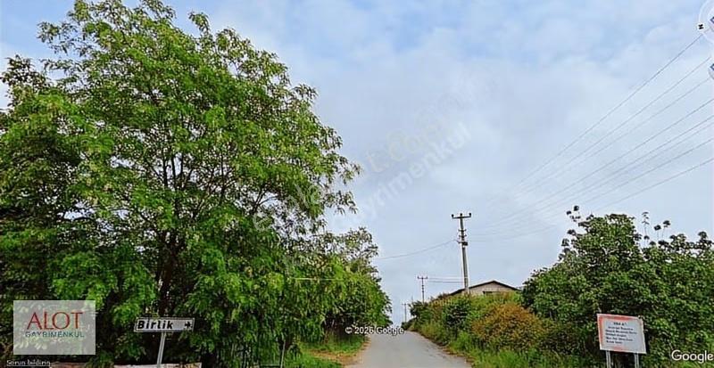 Sakarya Karaçalı Müstakil Arsa - Görsel 5