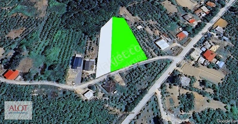 Sakarya Karaçalı Müstakil Arsa - Görsel 4