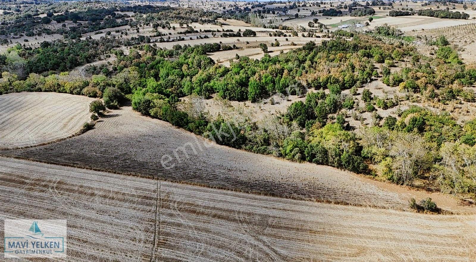 Çanakkale Biga Danışment Köyünde Tarla - Görsel 6