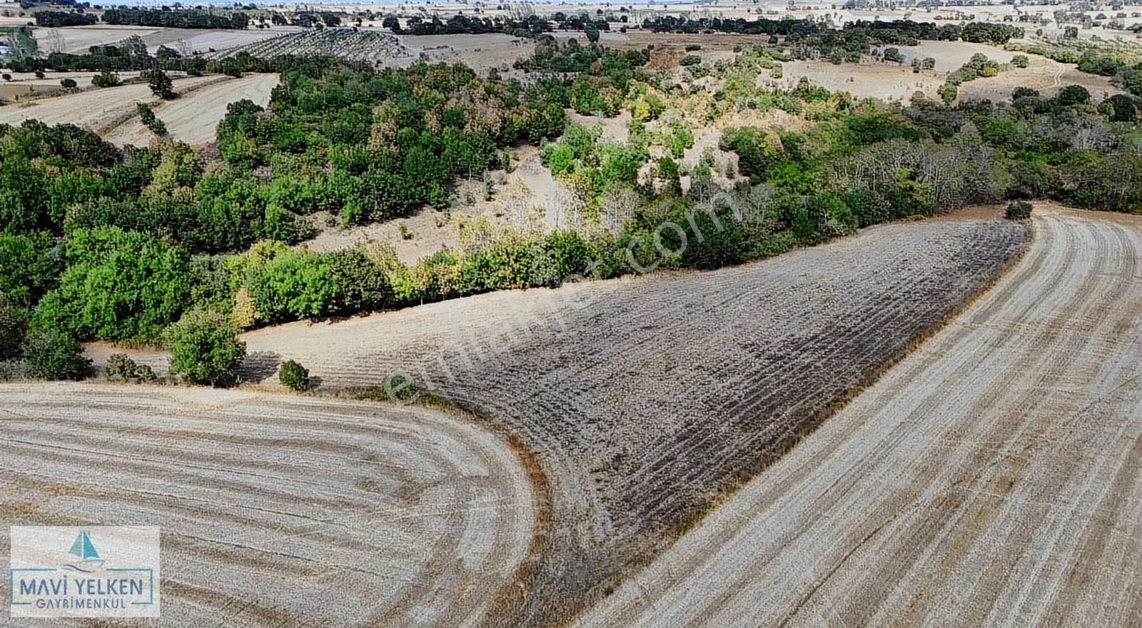 Çanakkale Biga Danışment Köyünde Tarla - Görsel 13