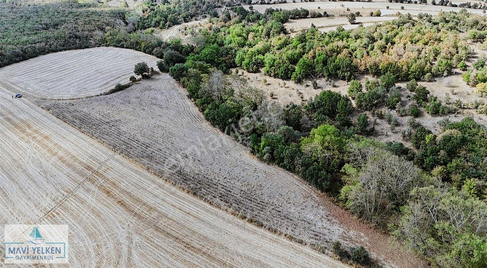 Çanakkale Biga Danışment Köyünde Tarla - Görsel 11