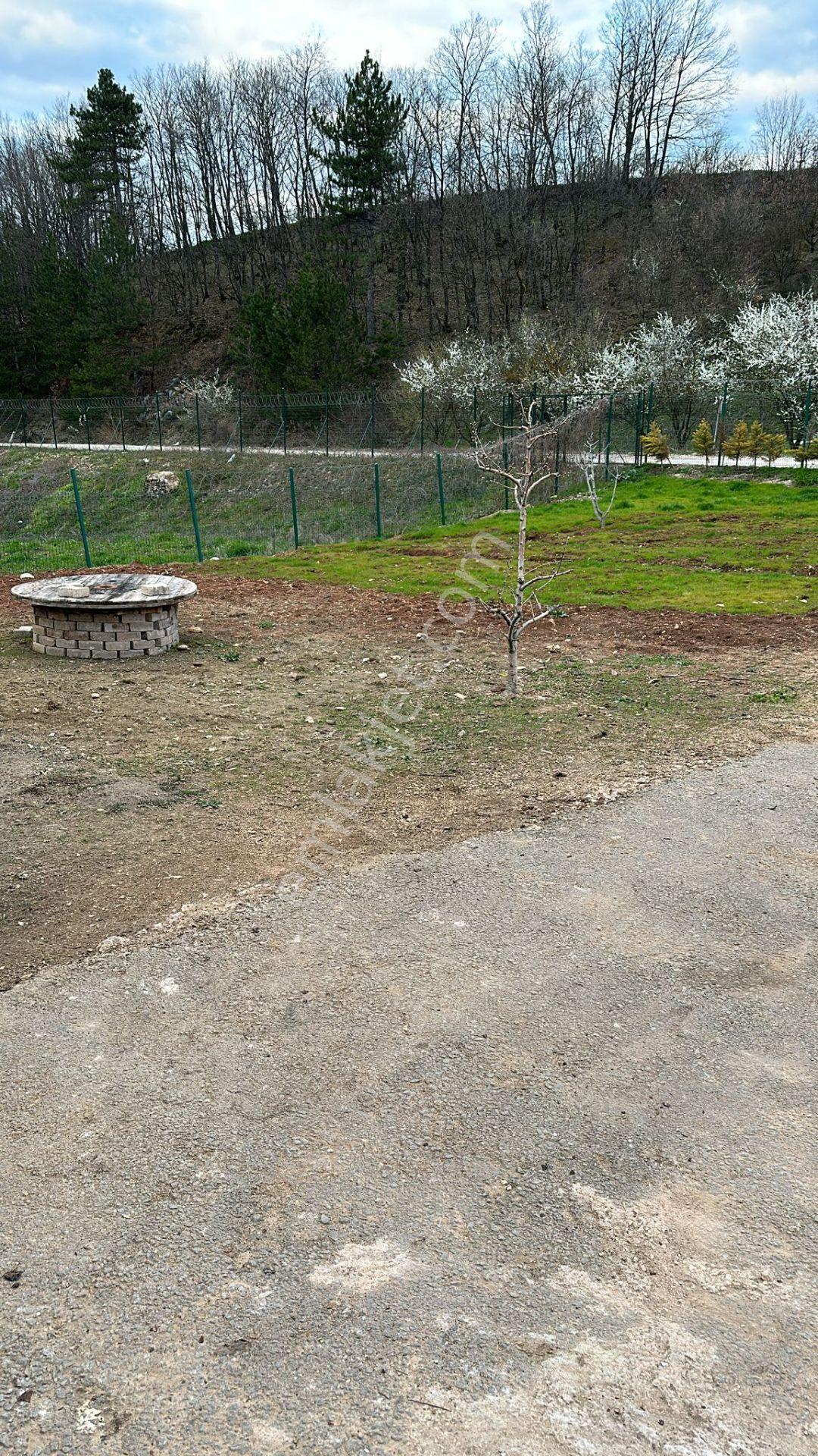 Doğa İçinde Tam Donanımlı Ahşap Villa Yaz Kış Oturuma Hazır - Görsel 31