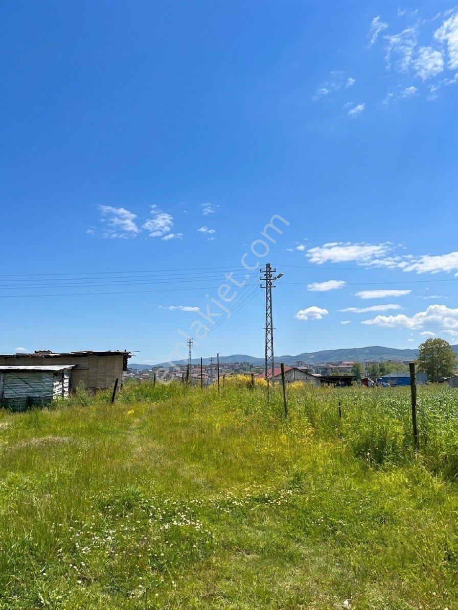 Ferizli Kemalpaşa’da 2.5 Dönüm Arsa İçinde Satılık Müstakil Ev - Görsel 2