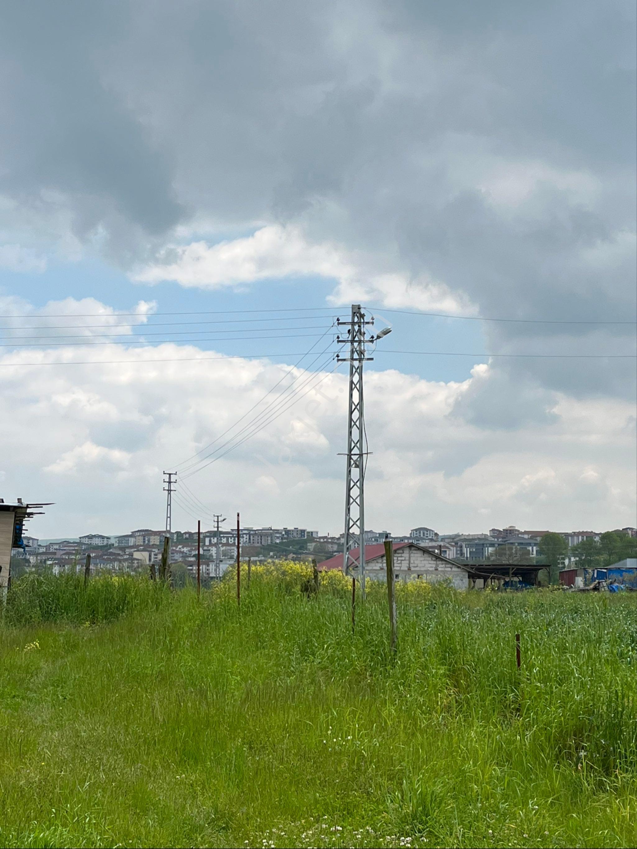 Ferizli Kemalpaşa’da 2.5 Dönüm Arsa İçinde Satılık Müstakil Ev - Görsel 3
