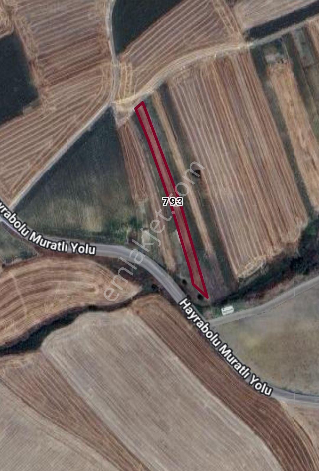 Muratlı Yurtbekler Mah 740 M² Hisseli Tarla - Görsel 3