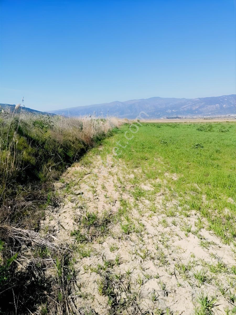 Su Sorunu Yol Sorunu Olmayan Çiftlik Yapabileceğiniz Tarla - Görsel 6