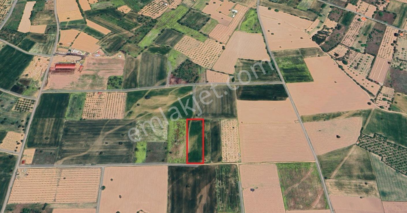 Tavas Kızılcabölük Mahallesinde Anayola Ve Merkeze Yakın Verimli 6713 M2 Satılık Tarla - Görsel 4