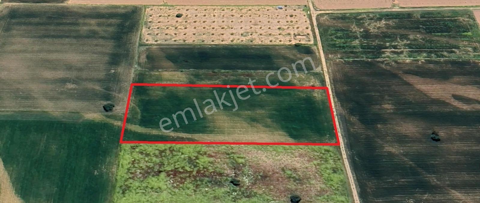 Tavas Kızılcabölük Mahallesinde Anayola Ve Merkeze Yakın Verimli 6713 M2 Satılık Tarla - Görsel 7