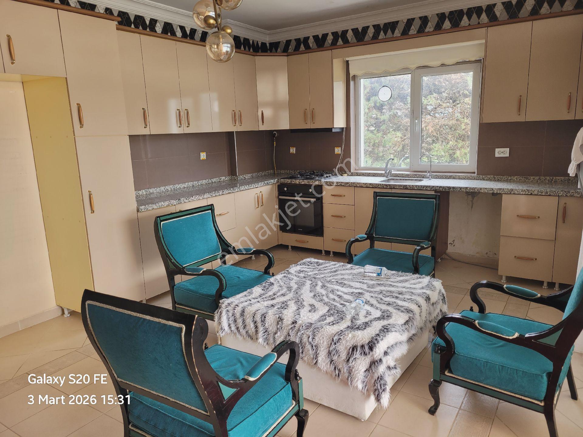 Silivri Kavaklı Kiralık 4967m² Çiflik Villa-havuz-sauna-müştemilat-çim,sebze Meyve Alanı - Görsel 12