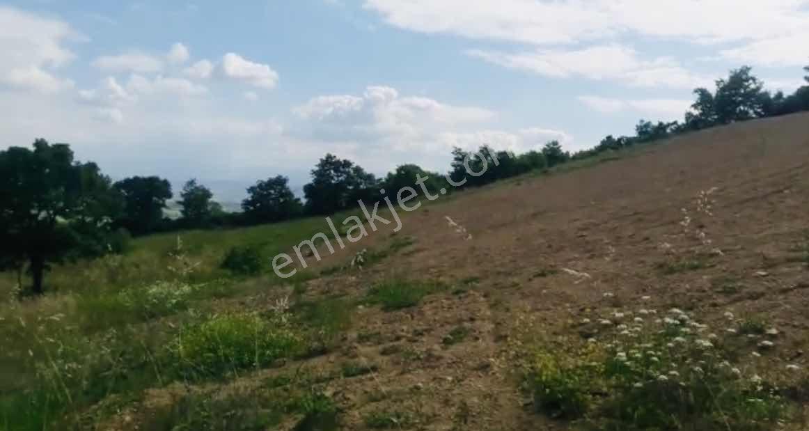 Bursa Yenişehir Süleymaniyede Satılık Tarla - Görsel 14