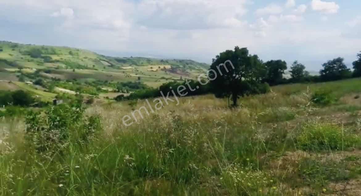 Bursa Yenişehir Süleymaniyede Satılık Tarla