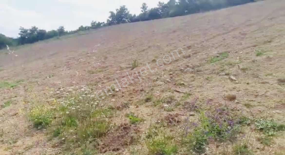 Bursa Yenişehir Süleymaniyede Satılık Tarla - Görsel 8
