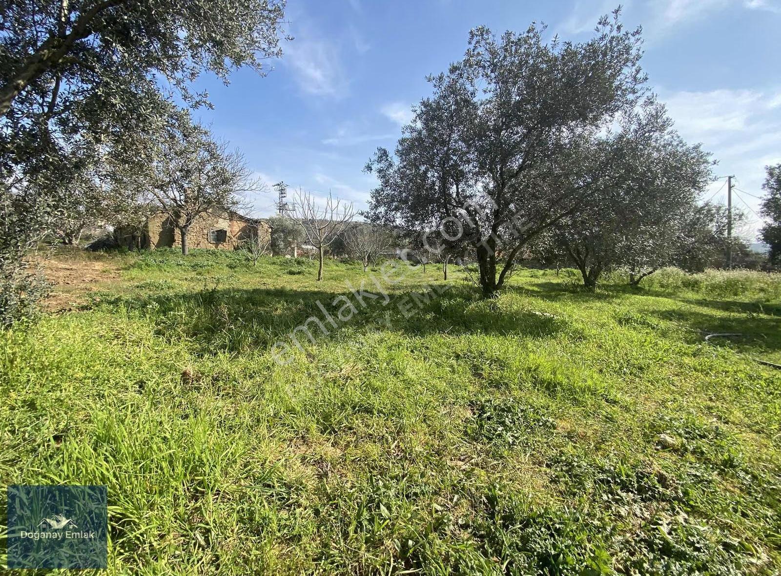 Tire Ayaklıkırı'nda 1741 M2arsa İçinde Müstakil Ev Fırsatı - Görsel 19