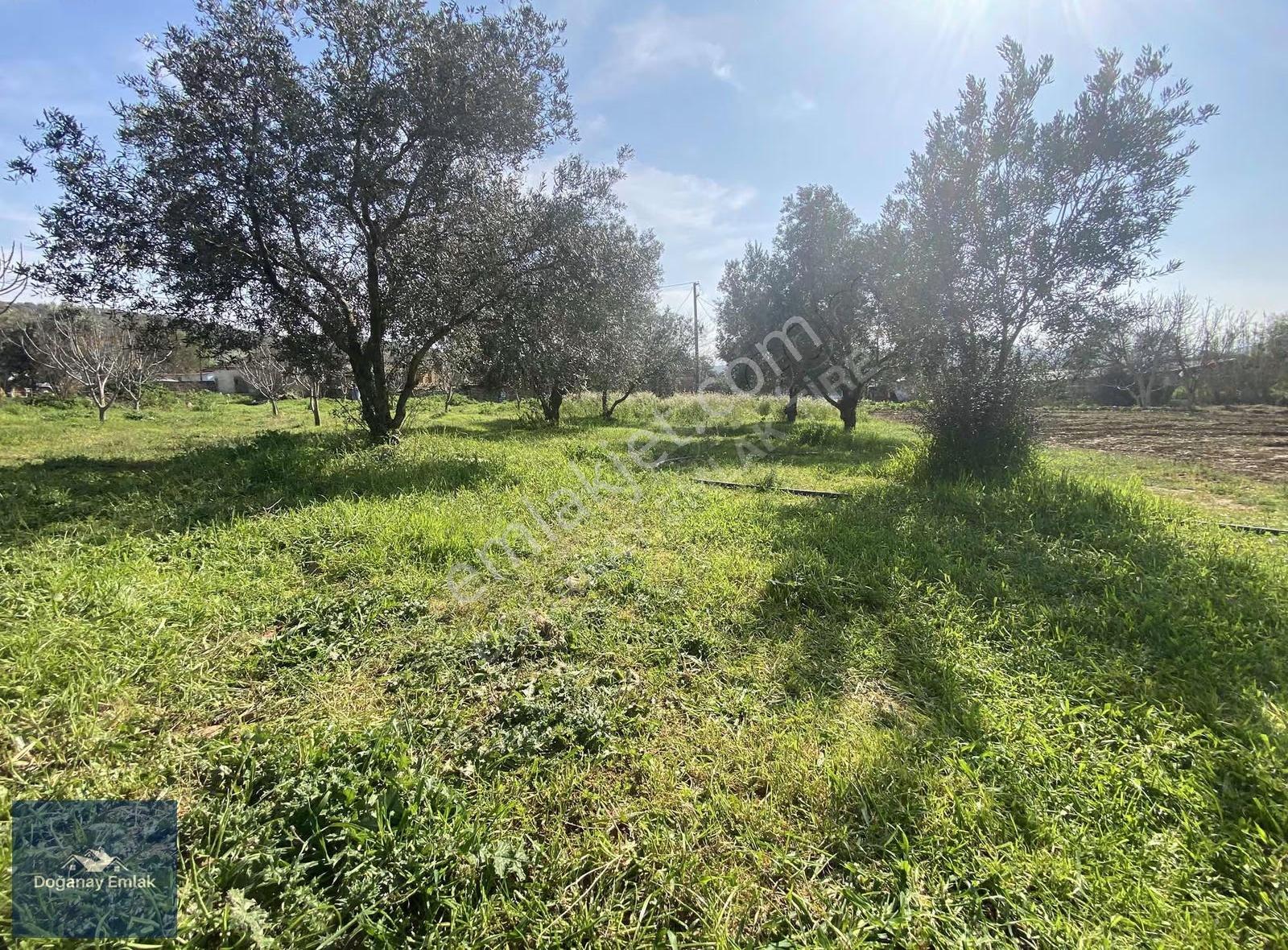 Tire Ayaklıkırı'nda 1741 M2arsa İçinde Müstakil Ev Fırsatı - Görsel 27