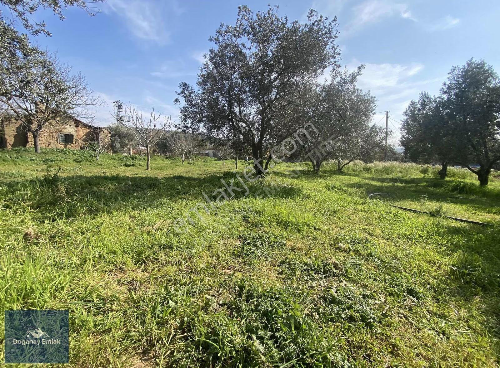 Tire Ayaklıkırı'nda 1741 M2arsa İçinde Müstakil Ev Fırsatı - Görsel 25