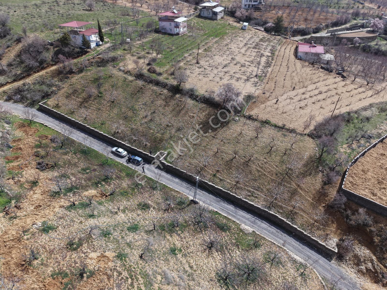 Gaffarlıda 978 M² Satılık Bağ Yeri - Görsel 5