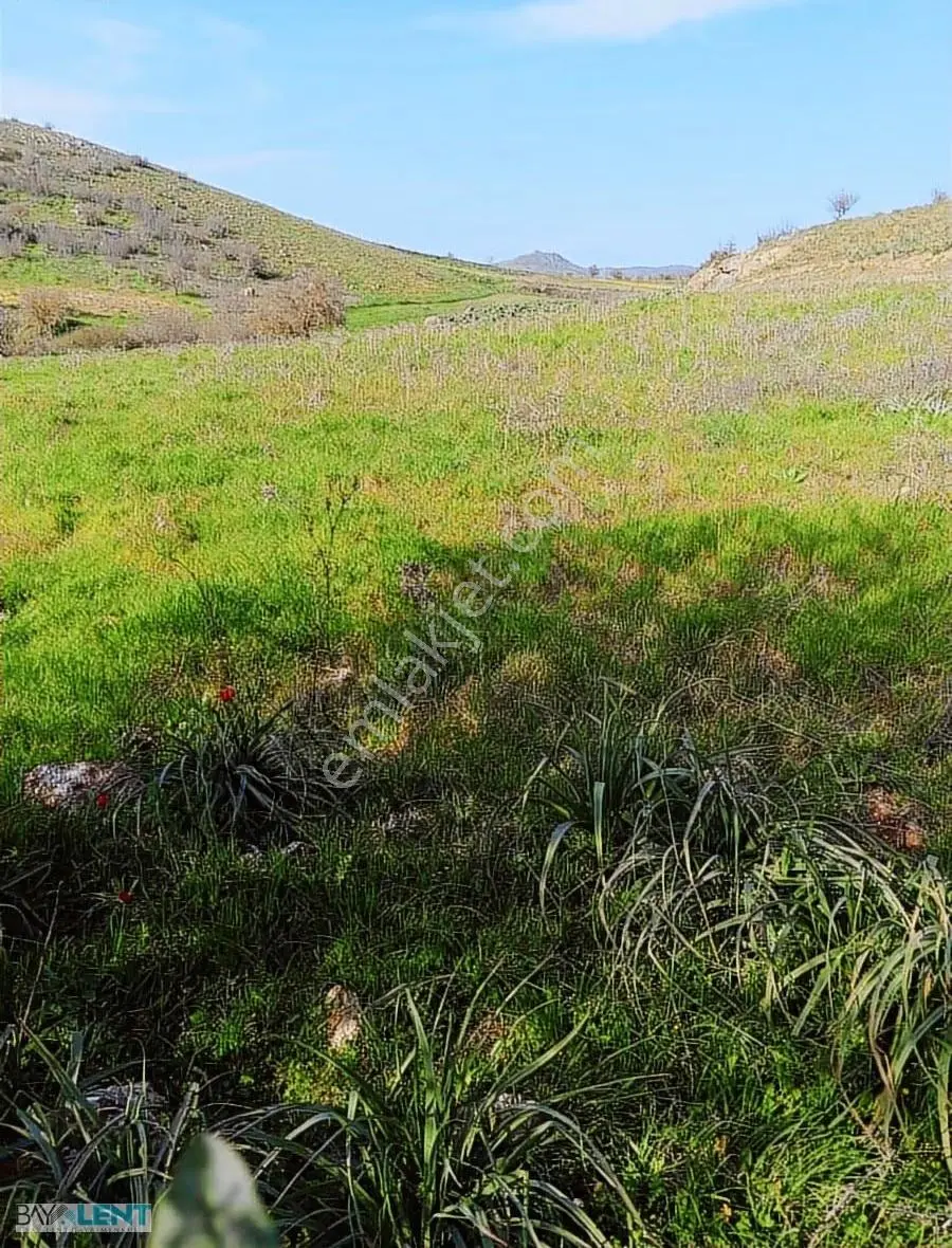 Altıeylül Merkez Akarsu Köyünde Satılık Tarla İçinde Su Yol Var - Görsel 4