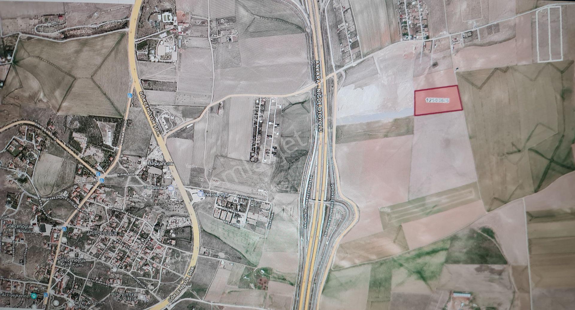 Gölbaşı'nın Gözde Mahallesi Gökçe Höyükte Satılık Tarla Kelepir Hissesi - Görsel 4