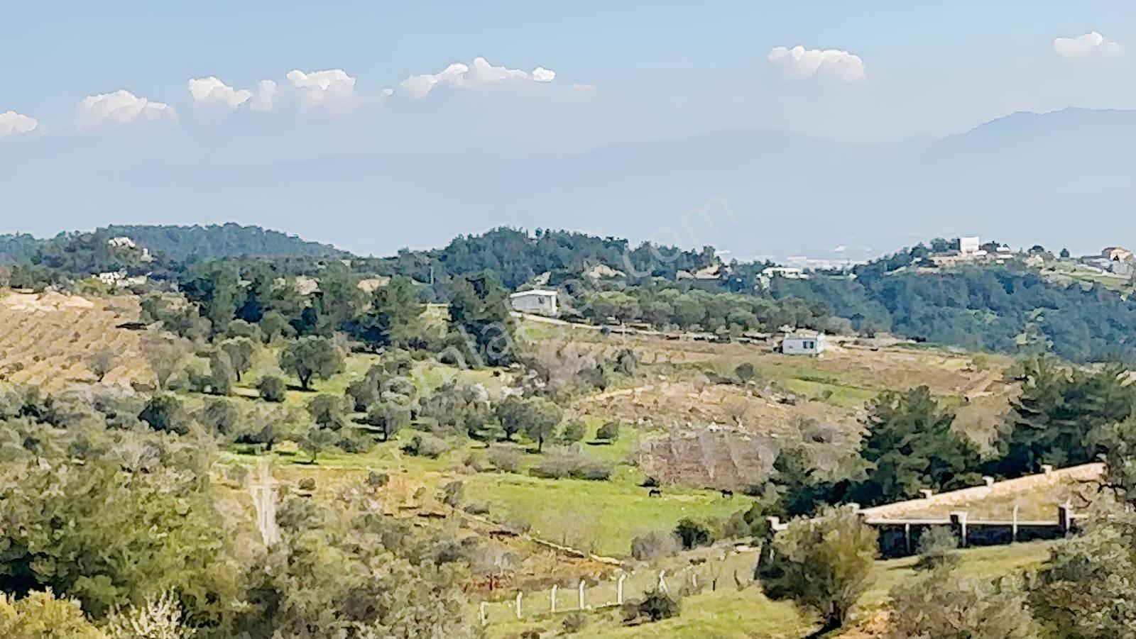 İzmir Kemalpaşa Damlacıkta 19.259 M² Dönüm Yatırımlık Tarla - Görsel 2
