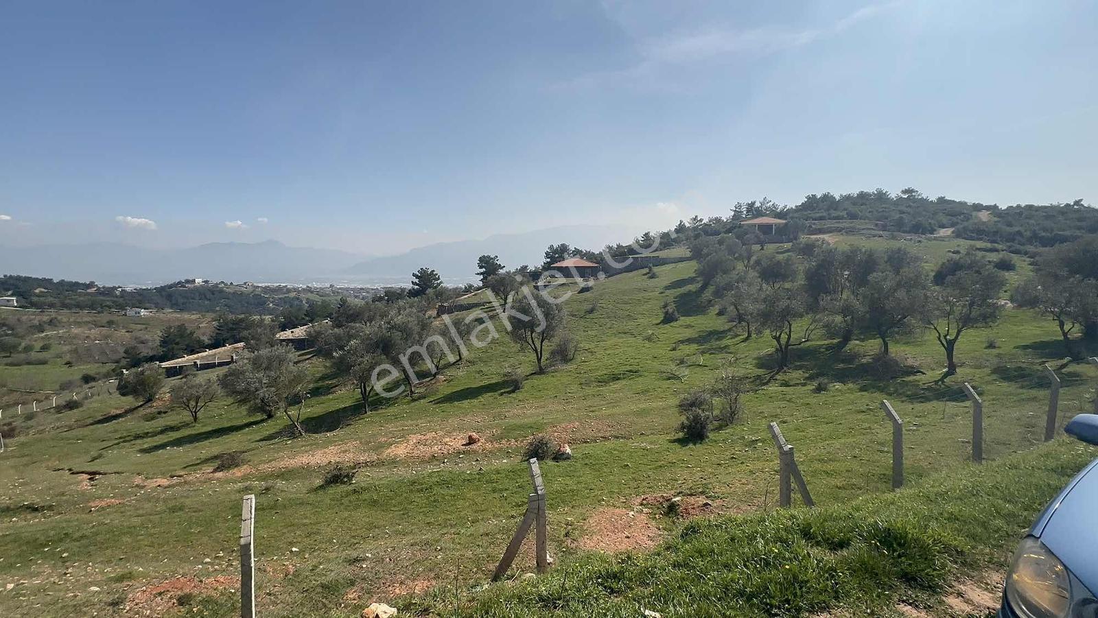 İzmir Kemalpaşa Damlacıkta 19.259 M² Dönüm Yatırımlık Tarla - Görsel 12