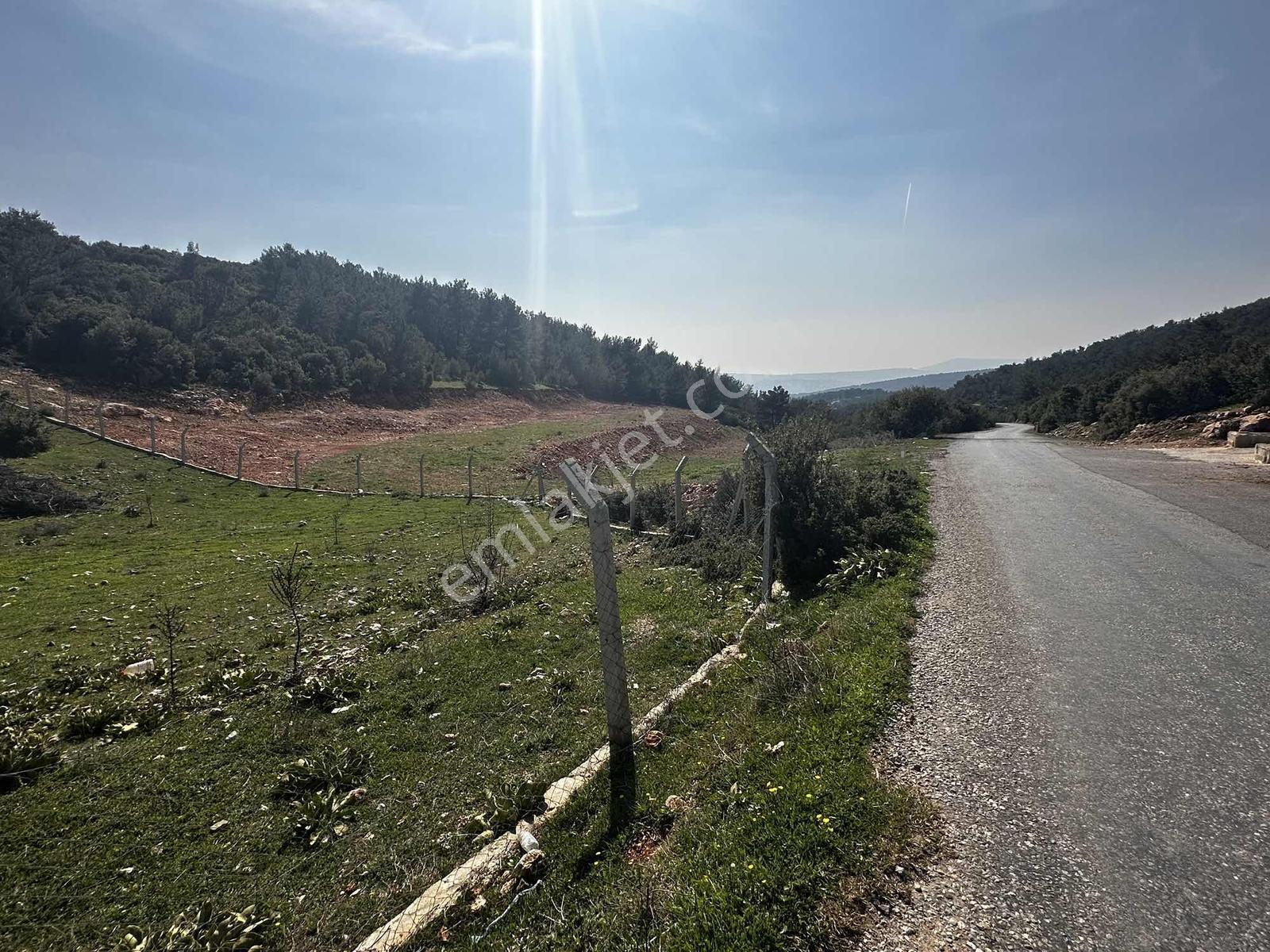 İzmir Kemalpaşa Damlacıkta 19.259 M² Dönüm Yatırımlık Tarla - Görsel 11