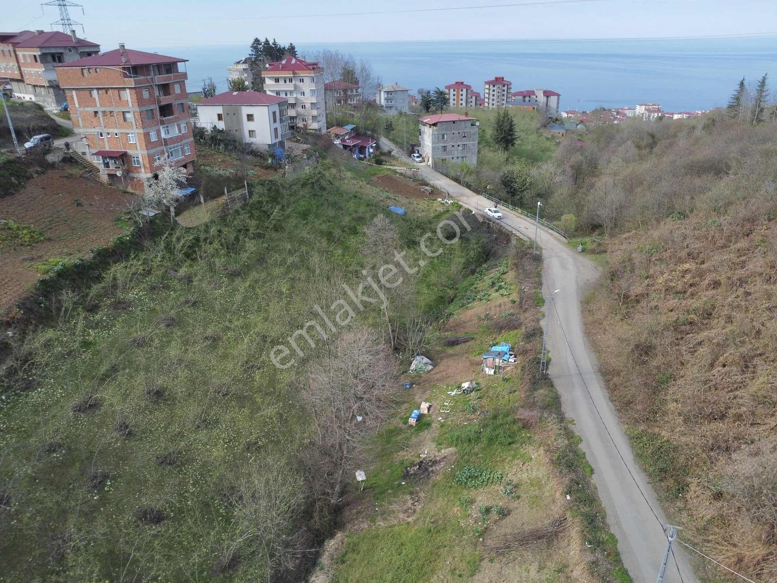 Trabzonda Fırsat Arsa - Görsel 18