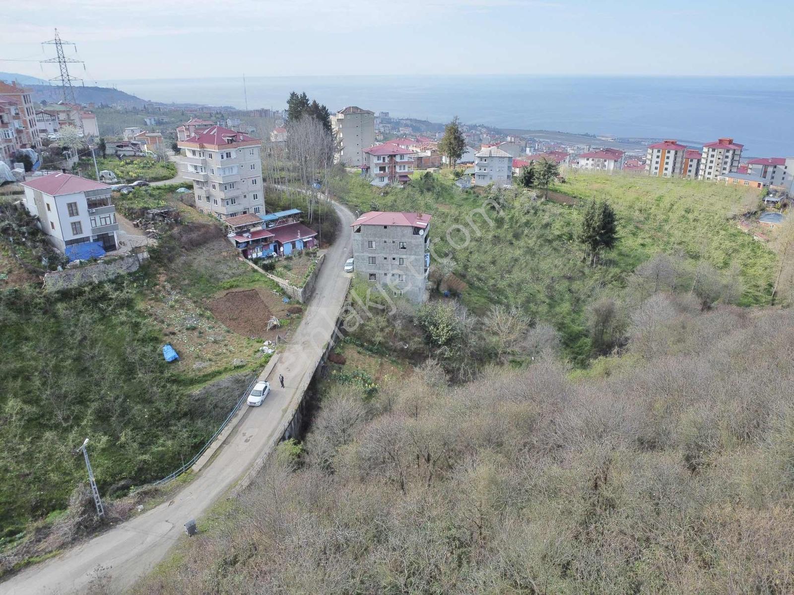 Trabzonda Fırsat Arsa - Görsel 19