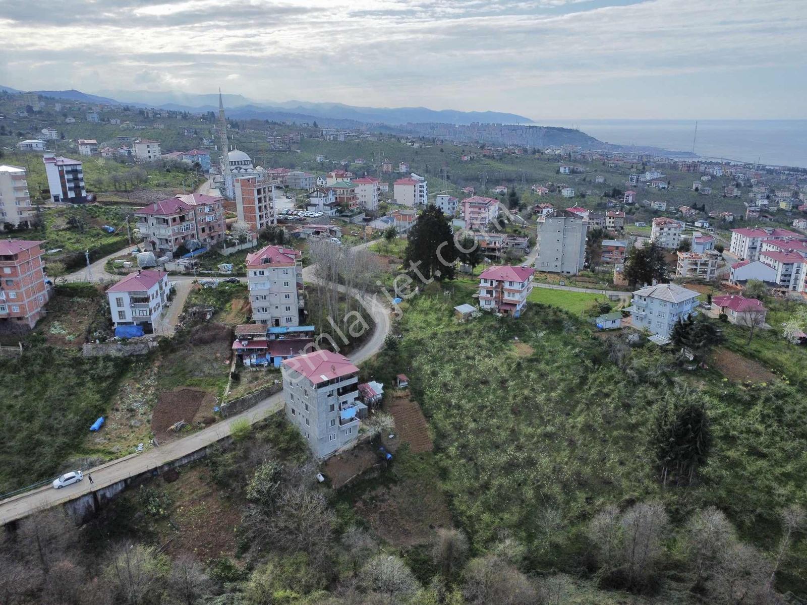 Trabzonda Fırsat Arsa - Görsel 15