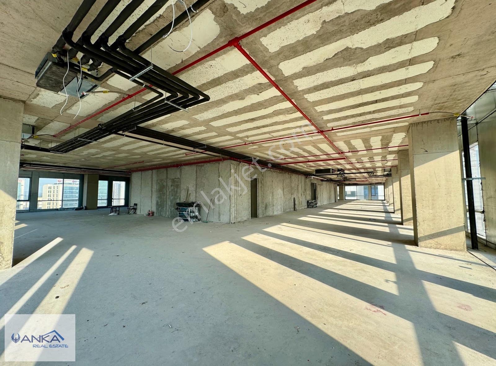 4b Enterprıse Plaza'da 1.320 M2 Kdv'li Dekorasyonlu Plaza Katı - Görsel 3