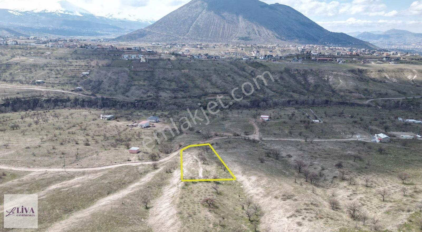 Liva'dan Reşadiye'de Tek Tapu 2171 M² Bağ - Görsel 19