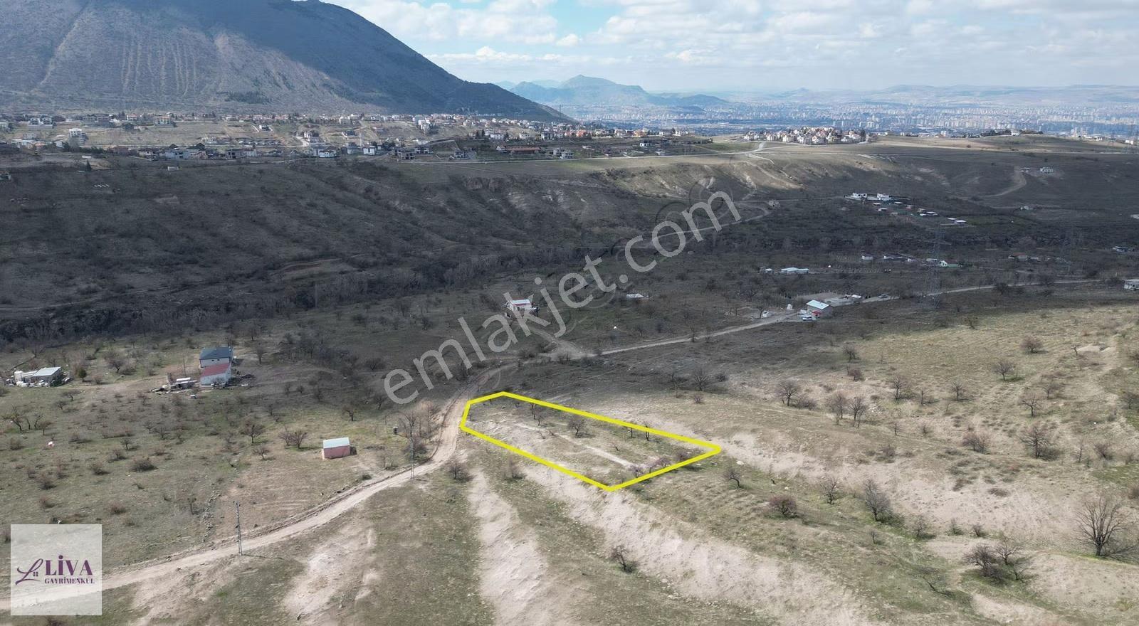 Liva'dan Reşadiye'de Tek Tapu 2171 M² Bağ - Görsel 10