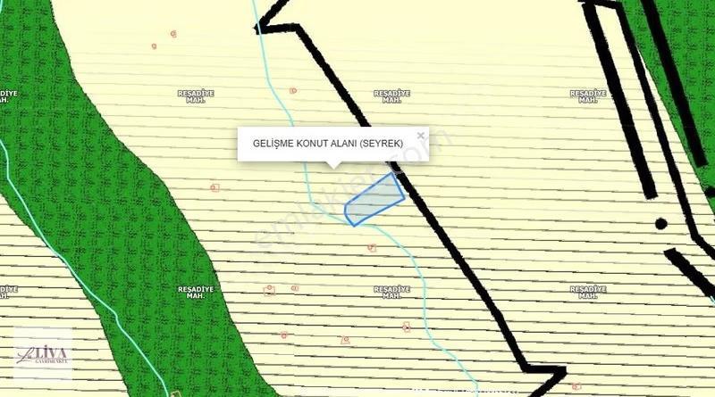 Liva'dan Reşadiye'de Tek Tapu 2171 M² Bağ - Görsel 15