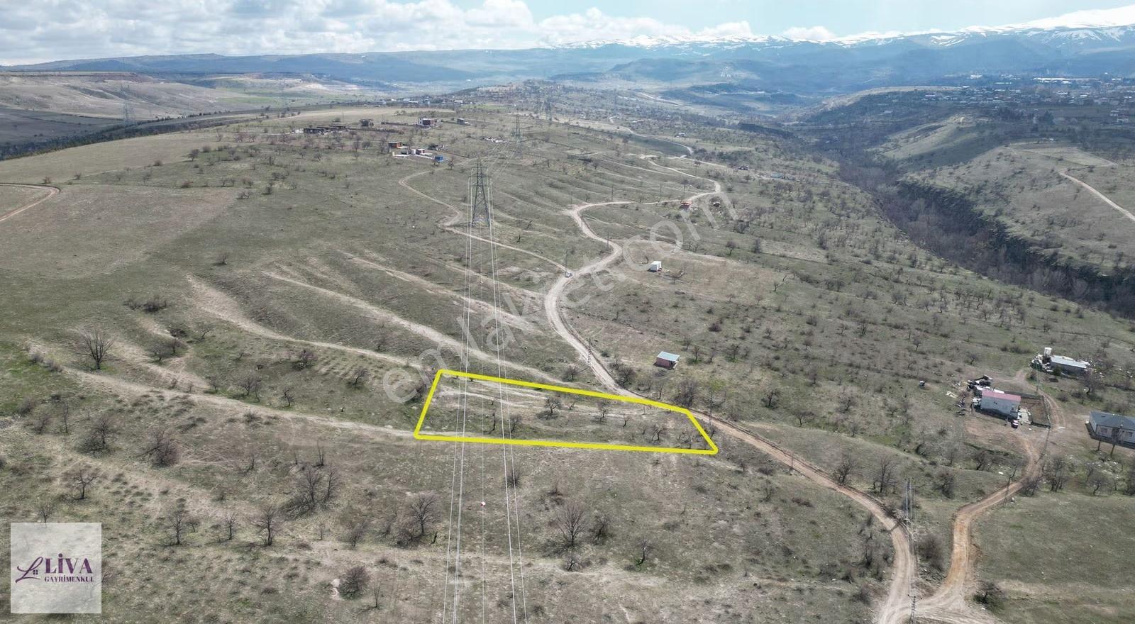 Liva'dan Reşadiye'de Tek Tapu 2171 M² Bağ - Görsel 11