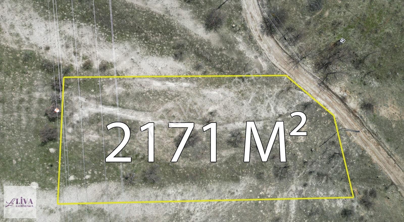 Liva'dan Reşadiye'de Tek Tapu 2171 M² Bağ - Görsel 18