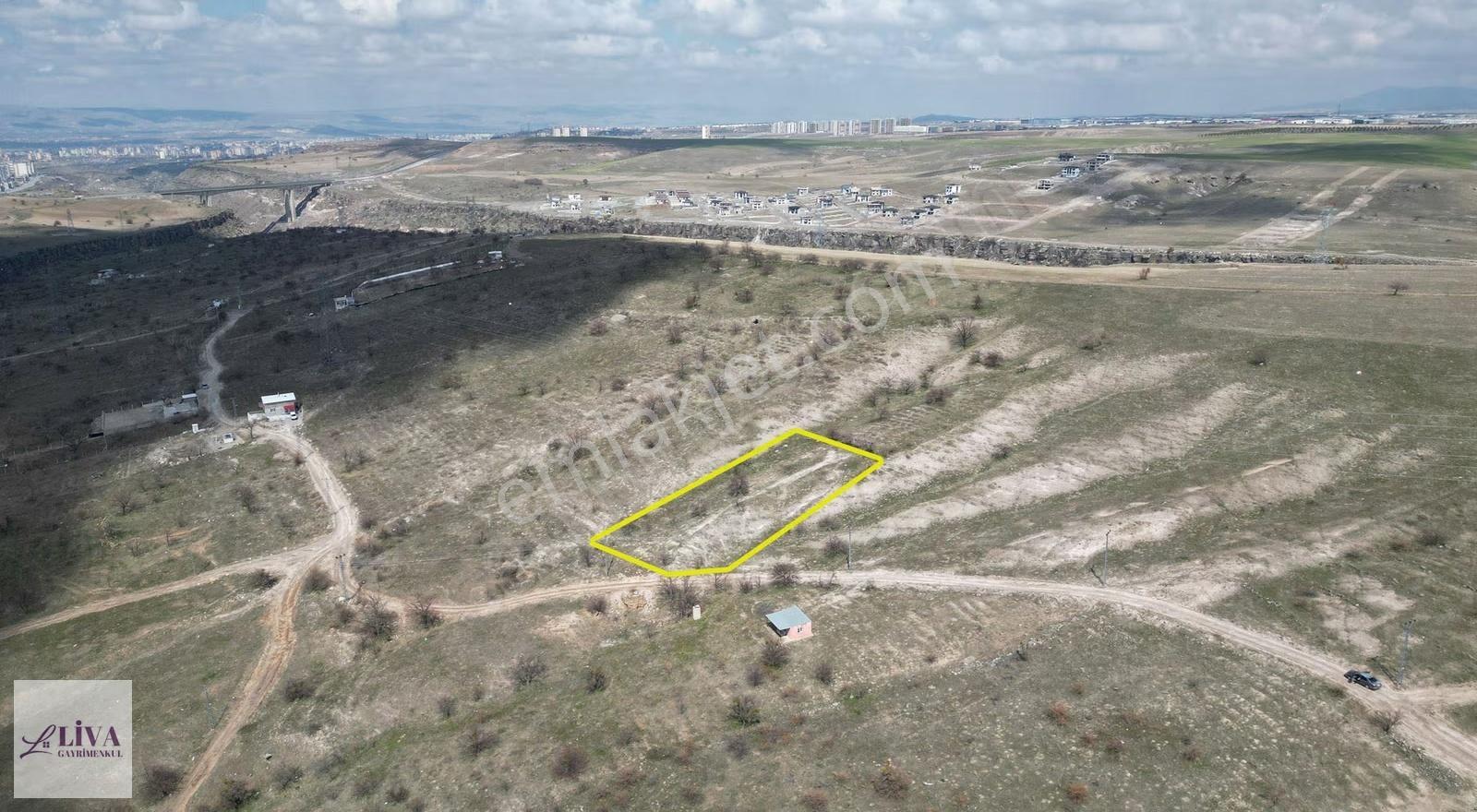 Liva'dan Reşadiye'de Tek Tapu 2171 M² Bağ - Görsel 16