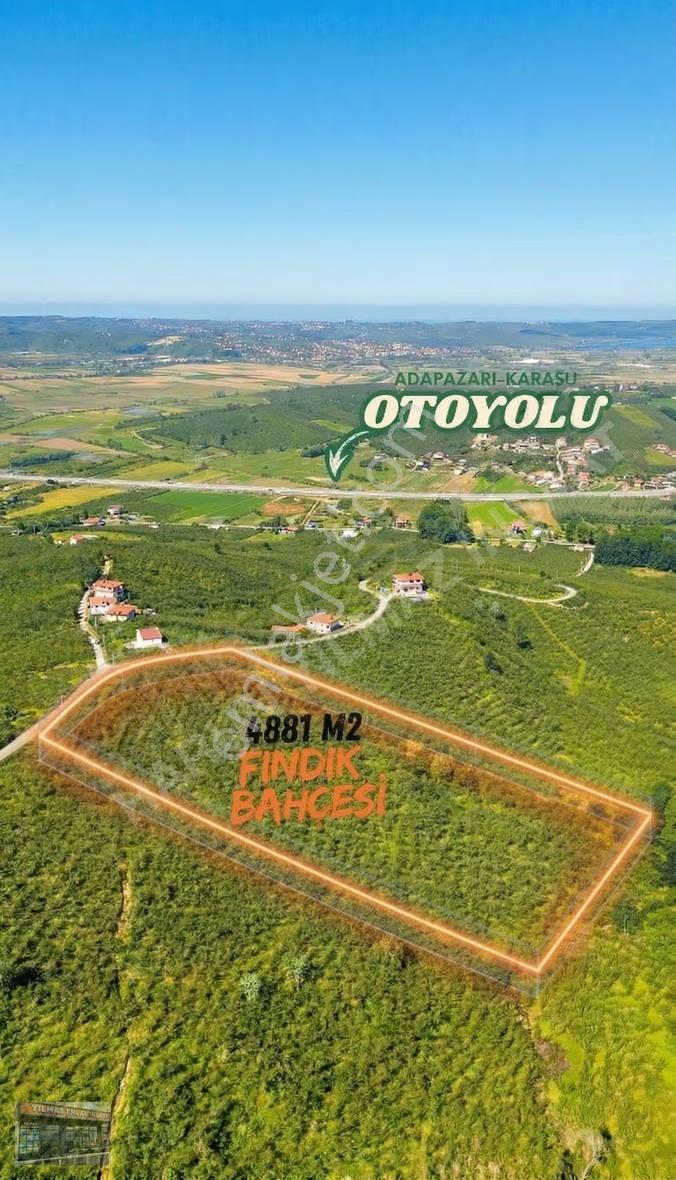 Harun Yılmaz İnşaat'tan 4.881 M² Fındık Bahçesi Köşe Parsel - Görsel 9