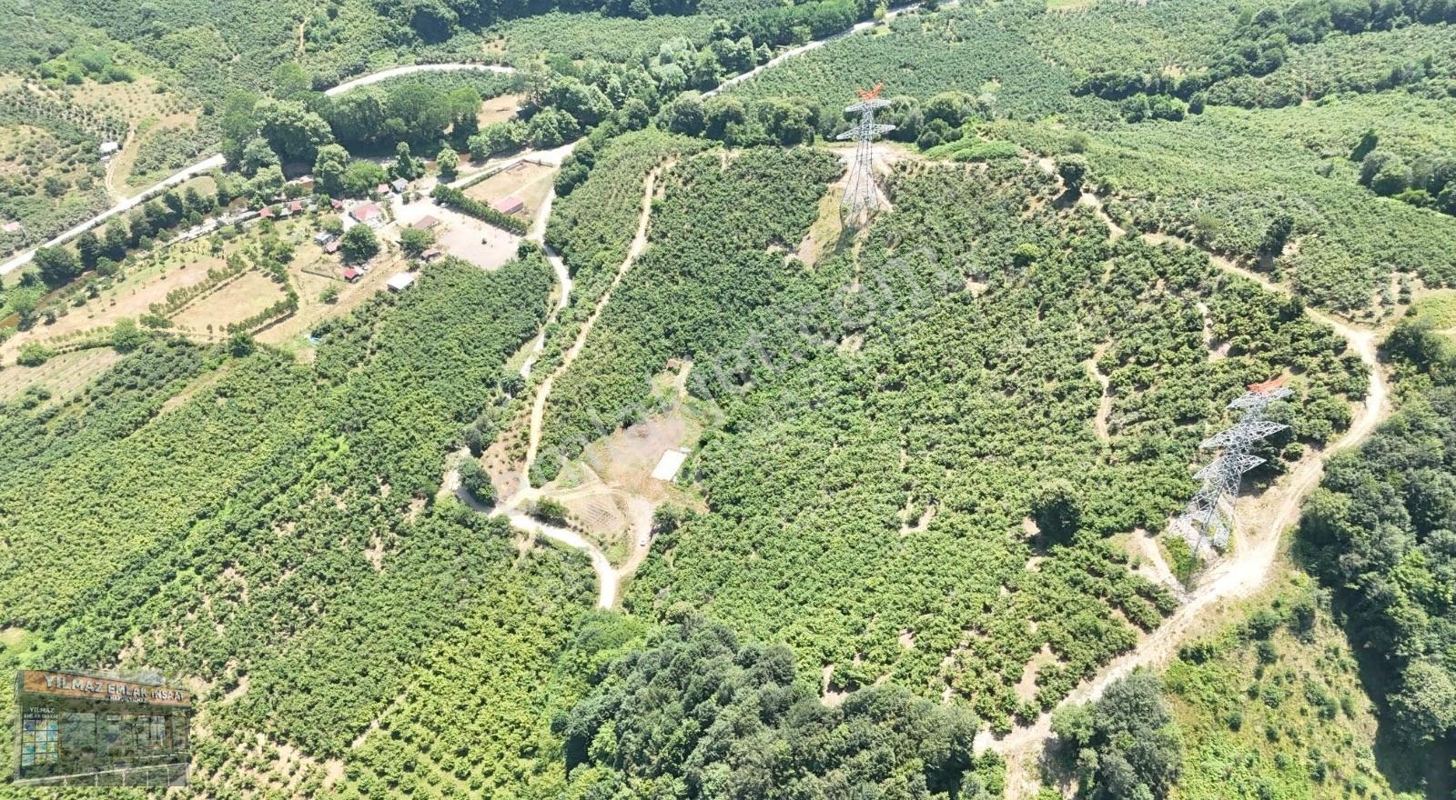 25 Dönüm Tapulu 45 Dönüm Tapusuz Kuyumcullu Maden Deresi Mevki - Görsel 12