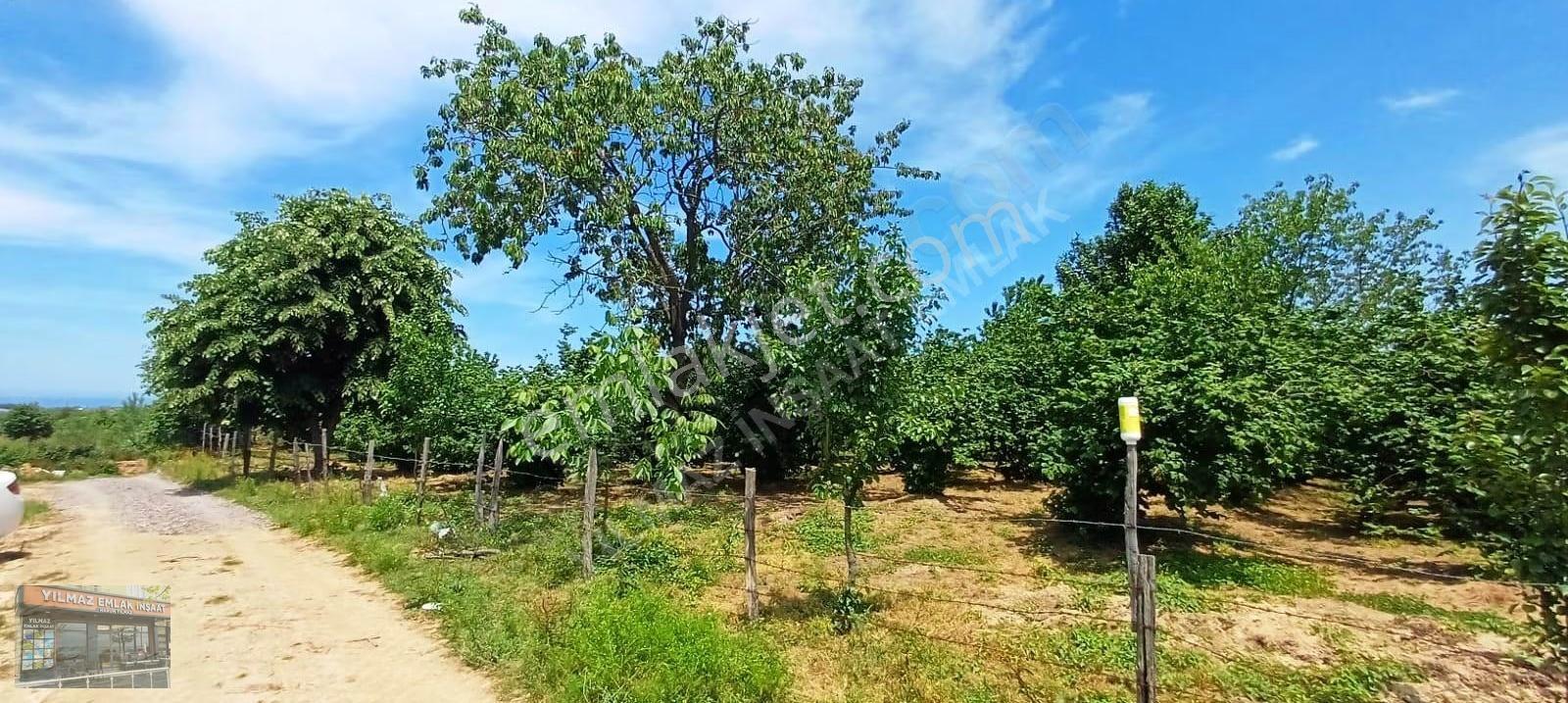 Yılmaz İnşaat'tan Ful Deniz Manzaralı Doğa İçinde Büyük Fırsat