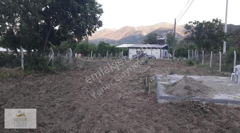 Mihalgazi Alpagut Mahallesinde Kadastro Yolu Olan Satılık Bahçe - Görsel 7